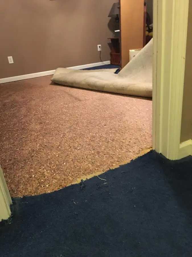 Carpet pad removal revealing water damage during Drying & Dehumidification in Halfway