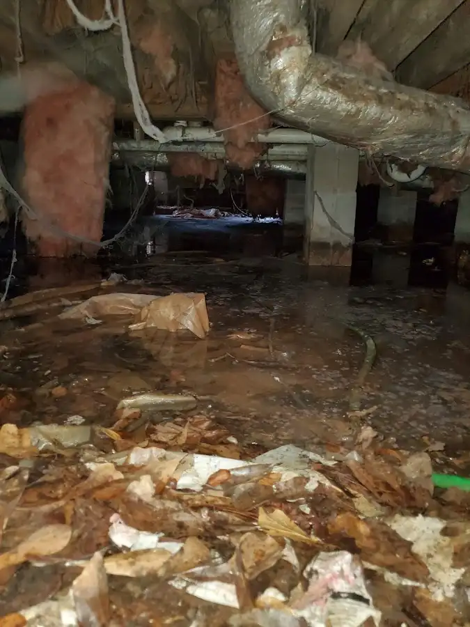 Crawl space flood assessment for Leak Detection & Repair in Halfway